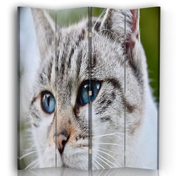 Parawan Cat Eyes 145x170 (4 Panele) - Legendarte