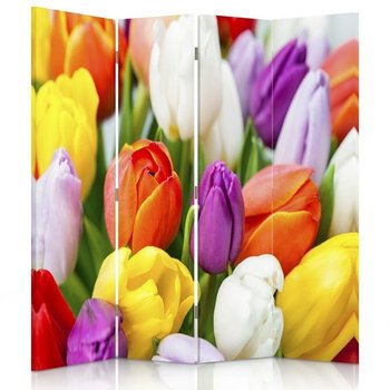 Parawan dwustronny FEEBY, Kolorowe Tulipany Kwiaty 145x170 - Feeby