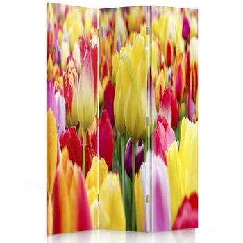 Parawan pokojowy FEEBY, Kolorowe tulipany 2, Dwustronny 110x170cm 3-częściowy - Feeby
