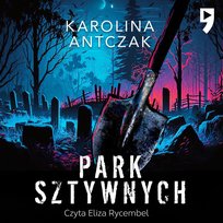 Park sztywnych - audiobook