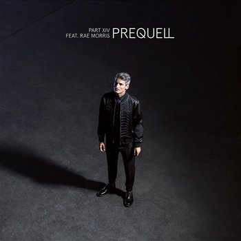 Part XIV - Prequell feat. Rae Morris