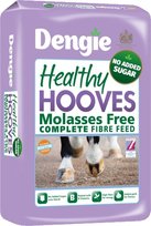 Pasza Sieczka Dengie Healthy Hooves Mol. Free 20kg Nuba Equi
