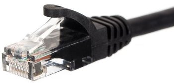 Patchcord UTP 5e NETRACK BZPAT025UK, 0.25 m - Netrack