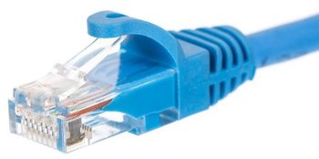 Patchcord UTP 5e NETRACK BZPAT5UB, 5 m
