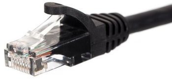 Patchcord UTP 6 NETRACK BZPAT0256K, 0.25 m - Netrack