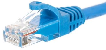 Patchcord UTP 6 NETRACK BZPAT36B, 3 m - Netrack