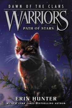 Path of Stars - Hunter Erin