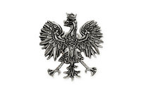 Patriotyczny Znaczek Godło Polski Pins