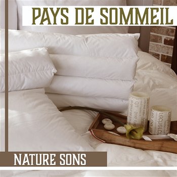 Pays de sommeil: Nature sons - Méditation du soir Avant le sommeil, Musique pure pour relaxation profonde, Guérir l'insomnie - Aide au Sommeil Académi