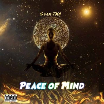 Peace of Mind - Slam TMA