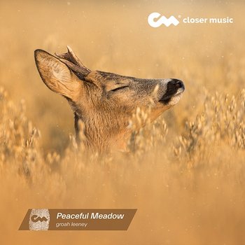 Peaceful Meadow - groah leeney