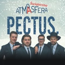 Pectus - Kolędy i pastorałki