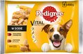 PEDIGREE Adult saszetka 4x100g - mokra karma dla psów w sosie (z wołowiną i jagnięciną, z indykiem i marchewką) - Pedigree