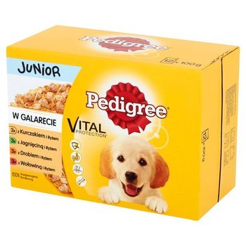 PEDIGREE Junior mokra karma dla szczeniąt mix smaków w galaretce 12x100 g - Pedigree