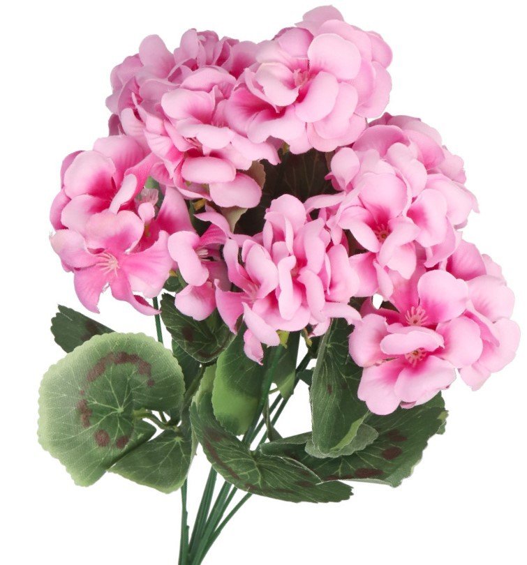 Pelargonia Du a G sta Bukiet Sztuczne Kwiaty 43cm Inny Producent pelargonia-du-a-g-sta-bukiet-sztuczne-kwiaty-43cm-inny-producent