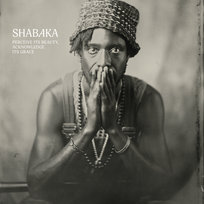 Perceive its Beauty, Acknowledge its Grace Shabaka
