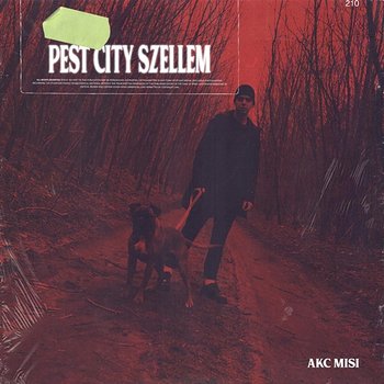Pest City Szellem - AKC Misi