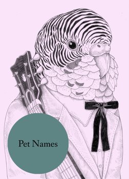 Pet Names - Lauren Lovett