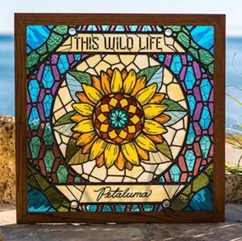 Petaluma, płyta winylowa - This Wild Life