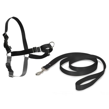 PetSafe Uprząż dla psa Easy Walk, XL, czarna - PetSafe