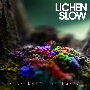 Pick Over The Bones - Lichen Slow