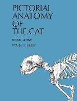 Pictorial Anatomy of the Cat Gilbert Stephen G.