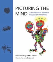 Picturing the Mind Simona Ginsburg