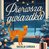 Nowości i bestsellery audiobooki