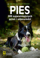 Nowości