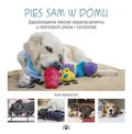 Pies sam w domu. Zapobieganie lękowi separacyjnemu u dorosłych psów i szczeniąt - Mallatratt Kate