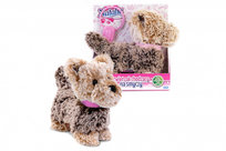 Pluszaki w supercenach