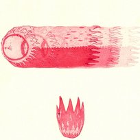 Pieśń Wieczorna Tomasz Budzyński