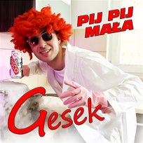 Pij Pij Mała Gesek