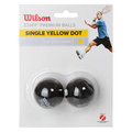 Piłki Wilson sq. Y WRT617800  - Wilson