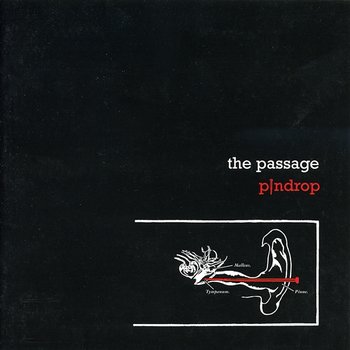 Pindrop - The Passage