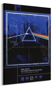 Pink Floyd Dark Side Of The Moon 30th Anniversary - Obraz na płótnie - Pyramid Posters