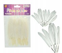 Pióra Kreatywne Piórka BIAŁE LOTKI Dekoracyjne Zestaw Piórek Łapacz Snów