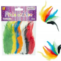 Pióra Kreatywne Piórka Kolorowe Dekoracyjne Zestaw Piórek Łapacz Snów