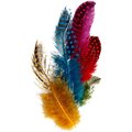 Pióra perliczki, barwione, 3 g - Creativ Company