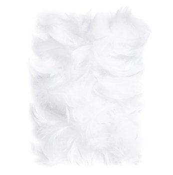 Piórka Białe 5-12Cm 10G - dp Craft