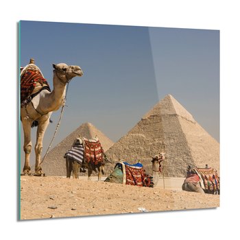 Piramidy wielbłądy nowoczesne obraz na szkle, 60x60 cm - ArtPrintCave