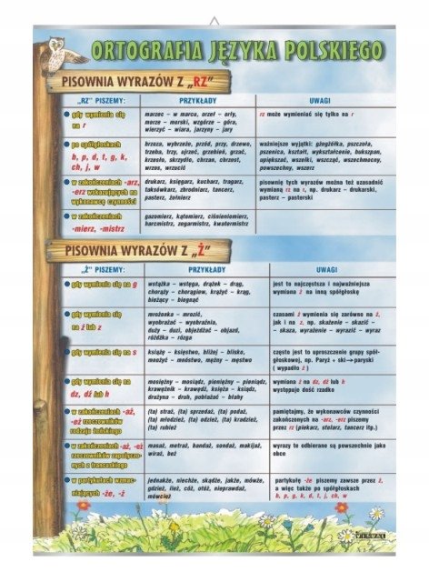 Pisownia Wyrazów Z "rz" I "ż" - VISUAL System | Sklep EMPIK.COM