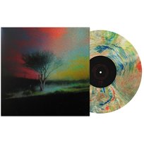 Piss In The Wind (Prism Vinyl) (Indie), płyta winylowa Joji