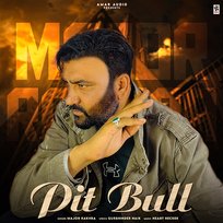 Pit Bull Major Rakhra