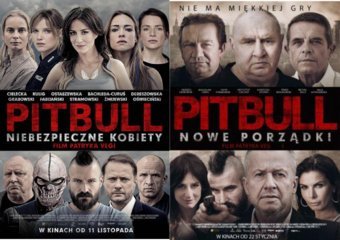 Niebezpieczny Vega, czyli o Pitbullu i policyjnym fenomenie
