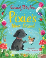 Pixie's New Friend Enid Blyton