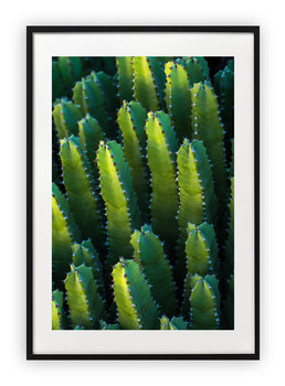 Plakat 13x18 cm Kaktus Natura Zieleń WZORY - Printonia