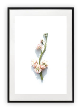 Plakat 13x18 cm Kwiaty Natura Rośliny Zieleń  WZORY - Printonia