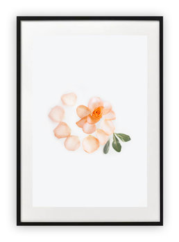 Plakat 13x18 cm Kwiaty Rośliny Natura Zieleń  WZORY - Printonia