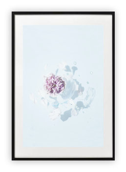 Plakat 13x18 cm Roślina Kwiat Róż  WZORY - Printonia
